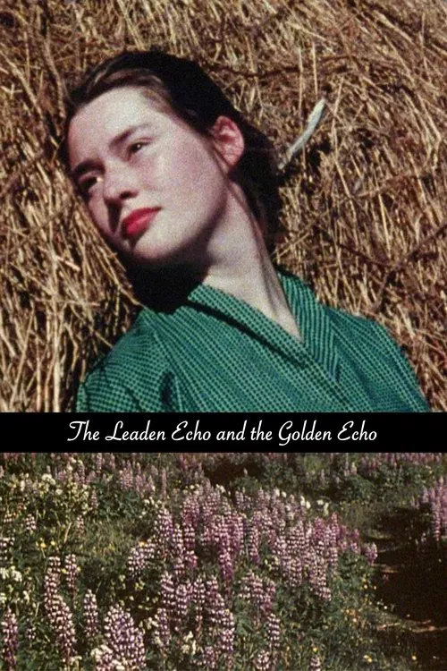 Poster do filme The Leaden Echo and the Golden Echo