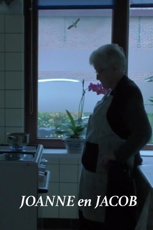Poster do filme Joanne & Jacob