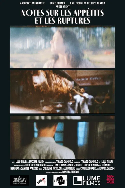 Notes on Apetites and Break-ups movie poster