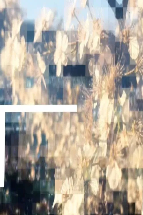 Chamomile Lips Part Four movie poster