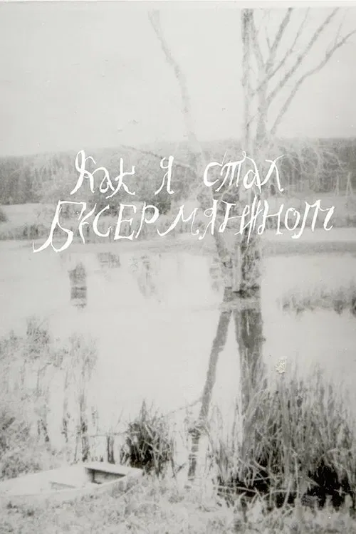 How I Became a Besermyan movie poster