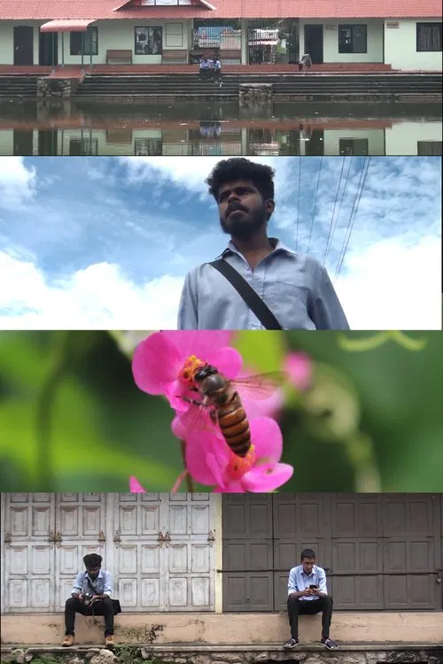 THE PHOTOGRAPHER movie poster