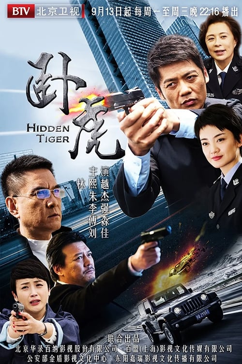Hidden Tiger tv show poster
