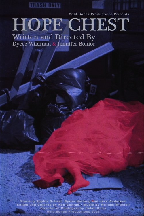 Hope Chest movie poster