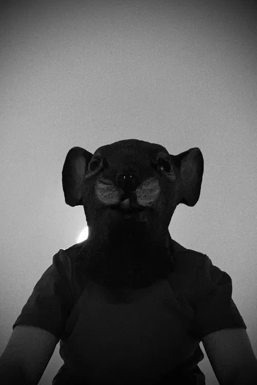 Arty Winnfield profile picture