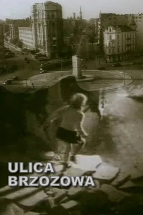 Brzozowa Street movie poster