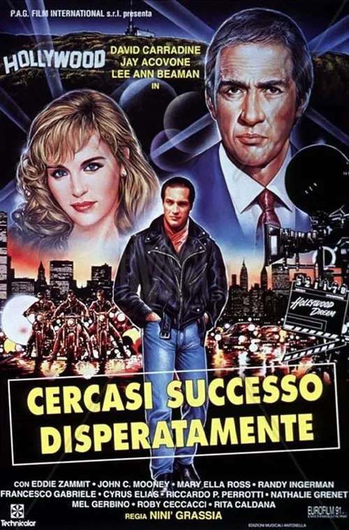 Desperately Looking For Success movie poster