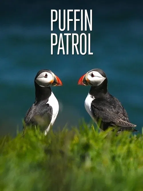 Puffin Patrol movie poster
