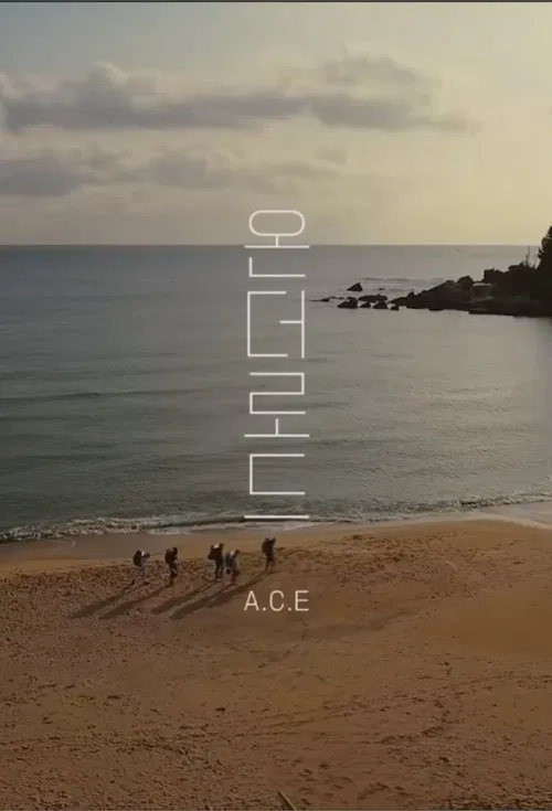 A.C.E On The Road tv show poster