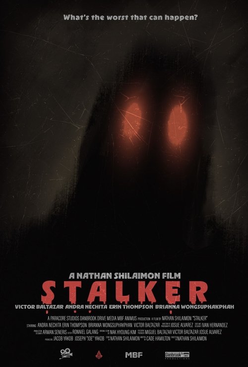 Poster do filme STALKER