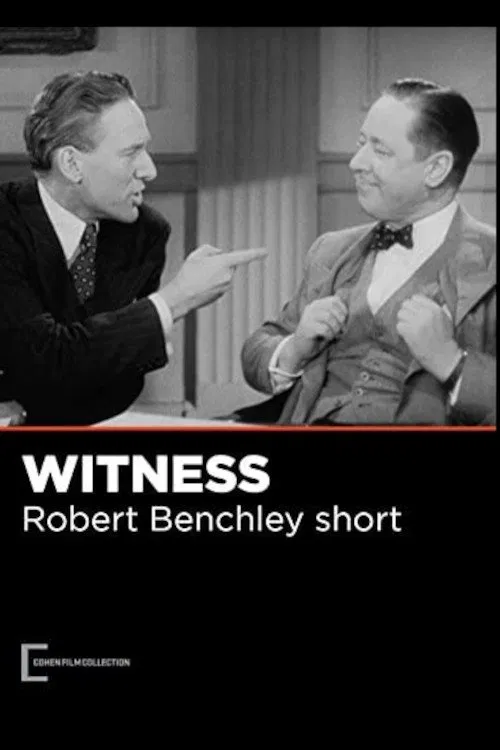 The Witness movie poster