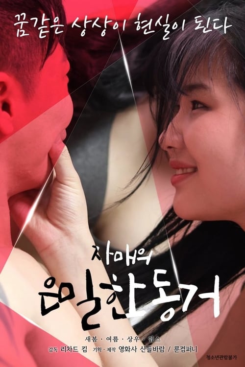 Sister's Secret Housemate movie poster