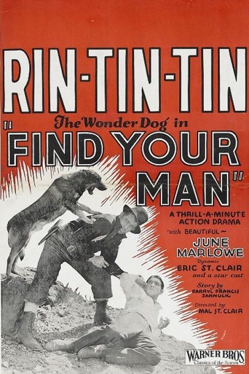 Find Your Man movie poster