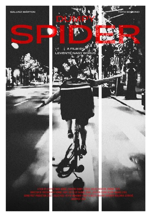 Dumpy Spider movie poster