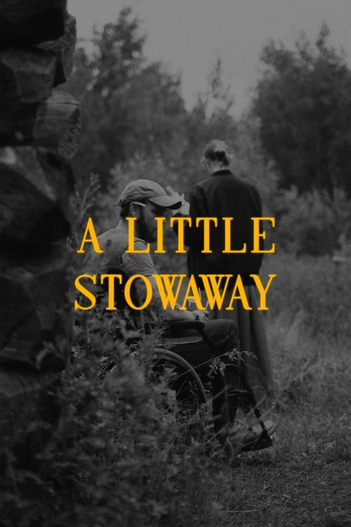 A Little Stowaway movie poster
