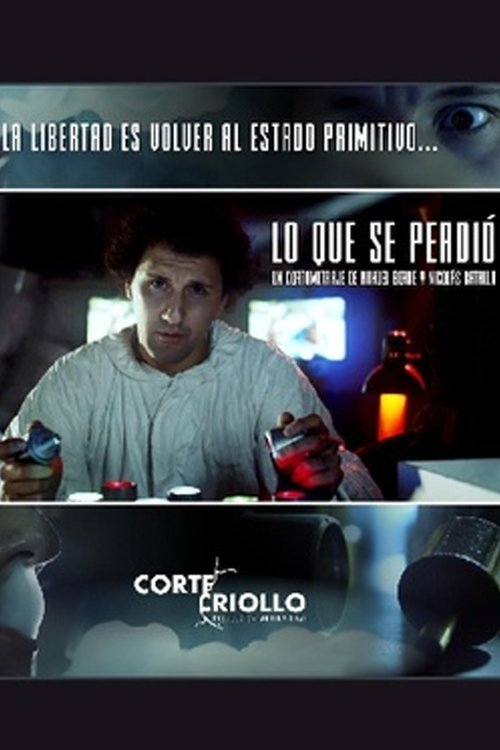 Lo que se perdió movie poster