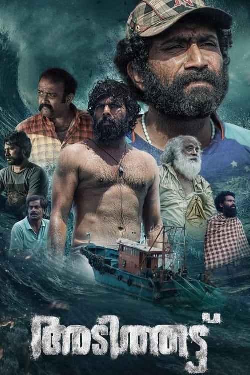 Poster do filme Adithattu