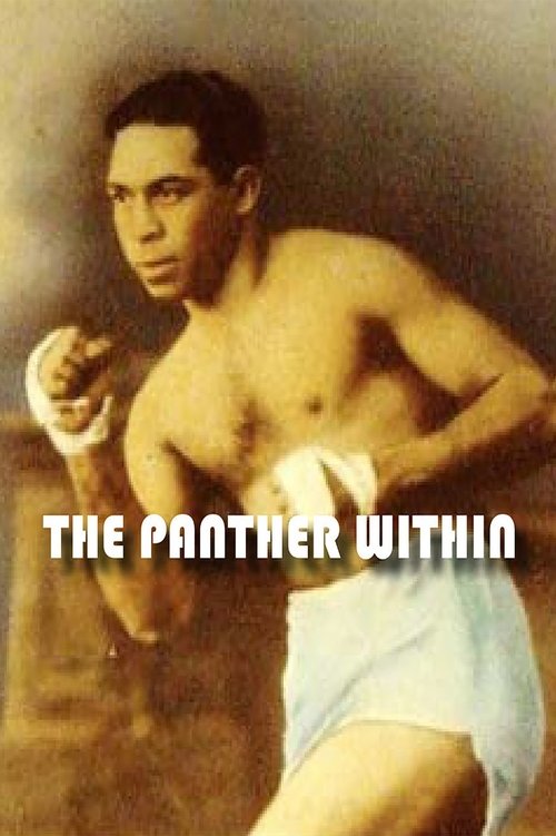 The Panther Within movie poster