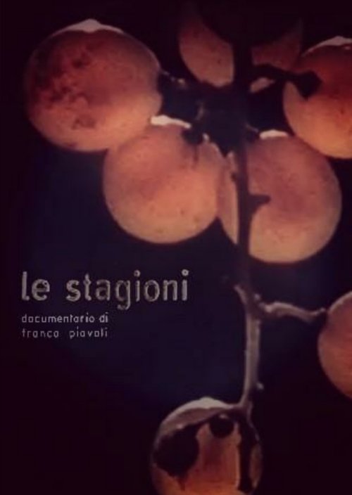 The Seasons movie poster