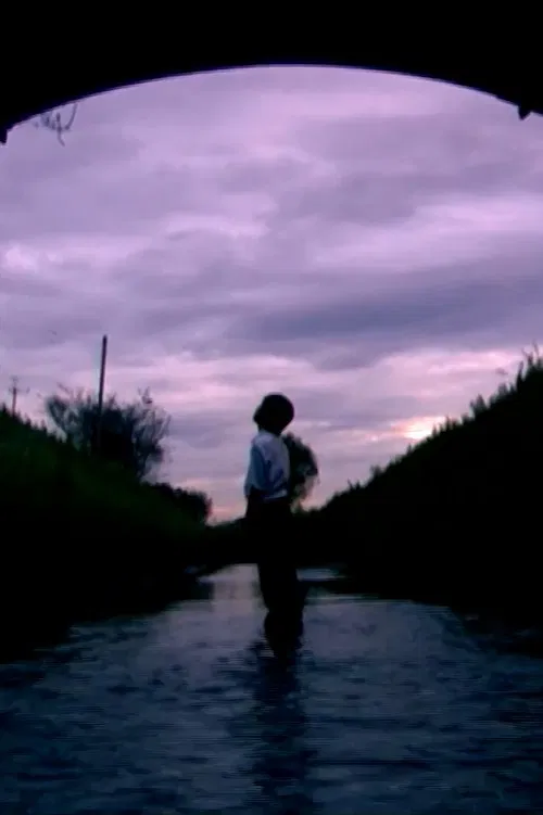 Poster do filme Blink