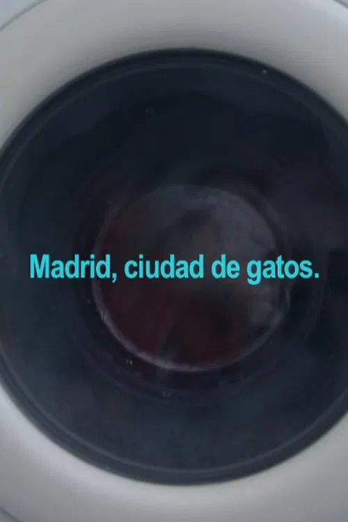 Madrid, City of Cats movie poster