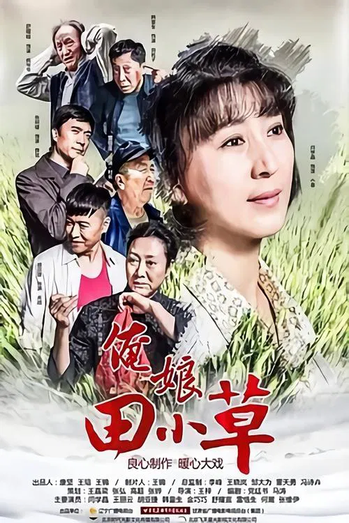 俺娘田小草 tv show poster