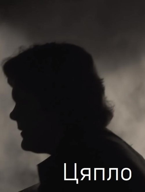 Warmth movie poster
