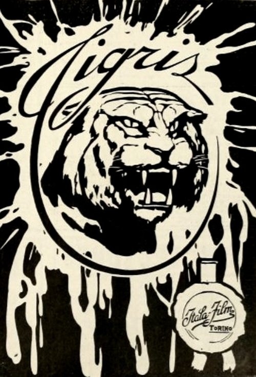 Tigris movie poster
