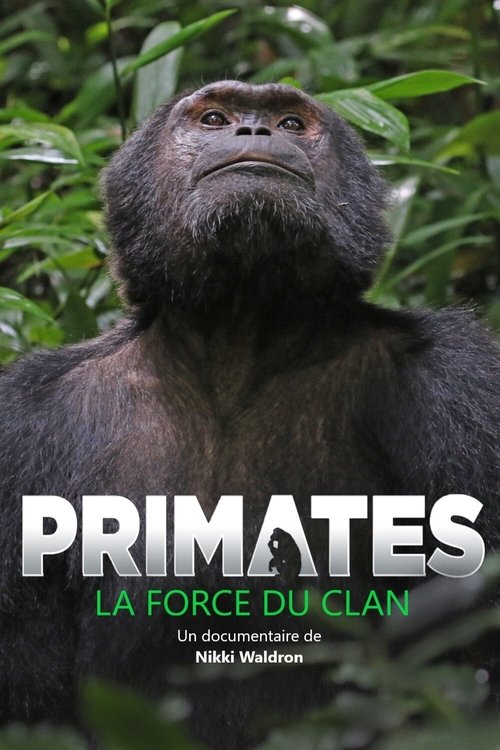 Primates: The Strength of the Clan movie poster