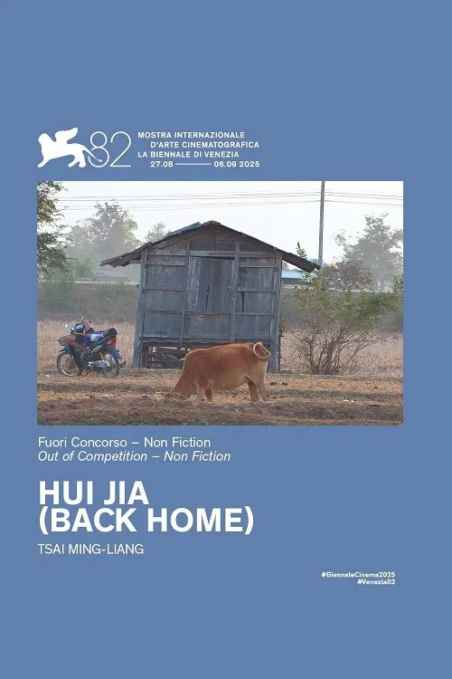 Back Home movie poster