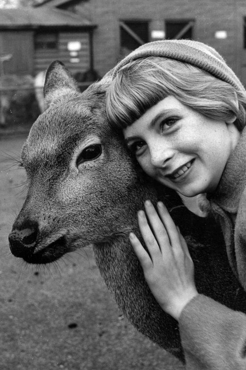 Jacqueline Ryan profile picture