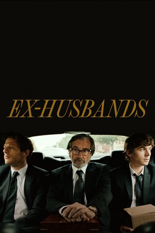 Ex-Husbands movie poster