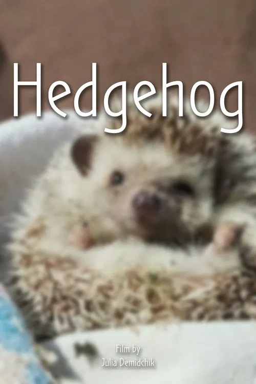 Hedgehog movie poster