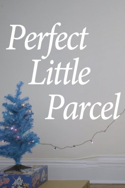 Perfect Little Parcel movie poster