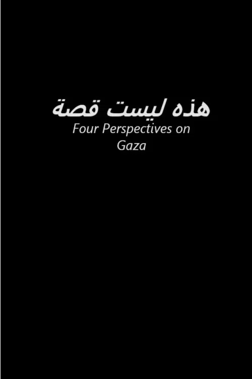 This is Not a Story movie poster