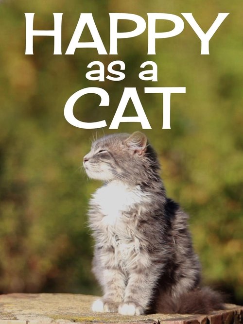 Happy as a Cat movie poster