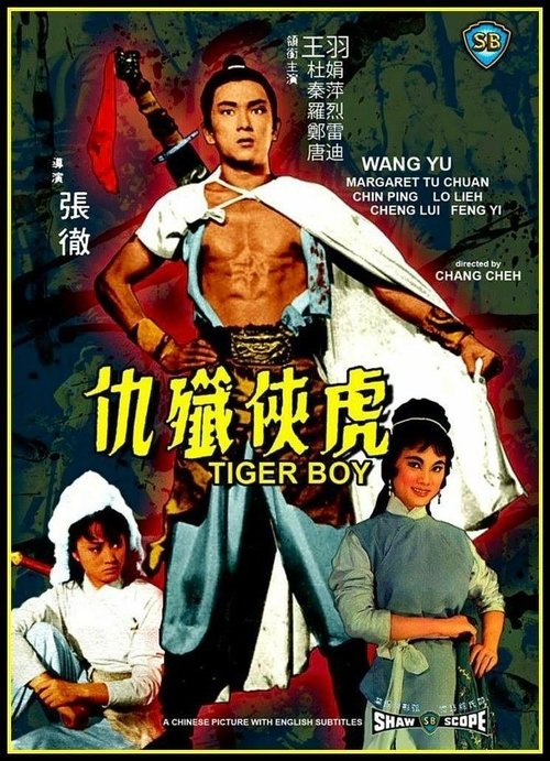Tiger Boy movie poster