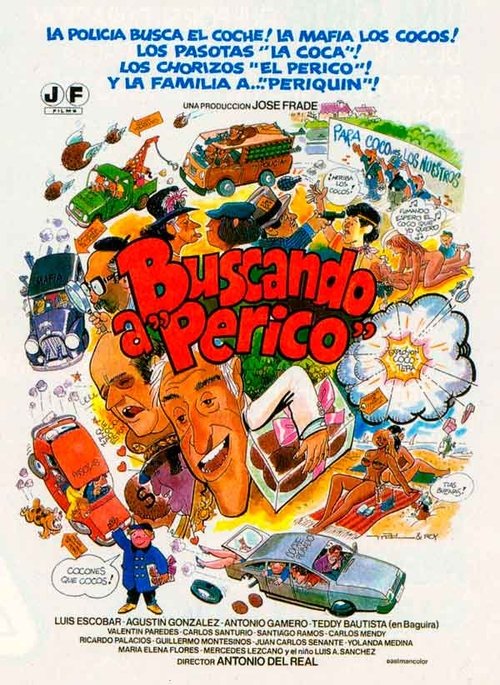 Poster do filme Buscando a Perico