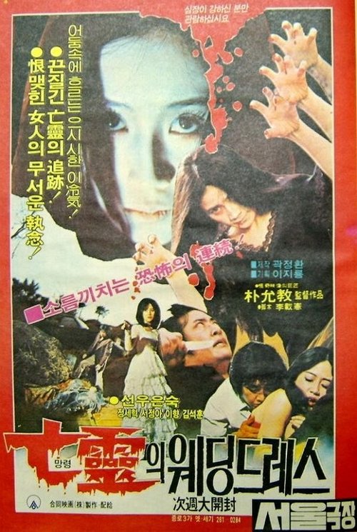 The Haunted Wedding Dress movie poster
