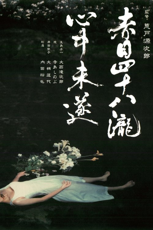 Akame 48 Waterfalls movie poster