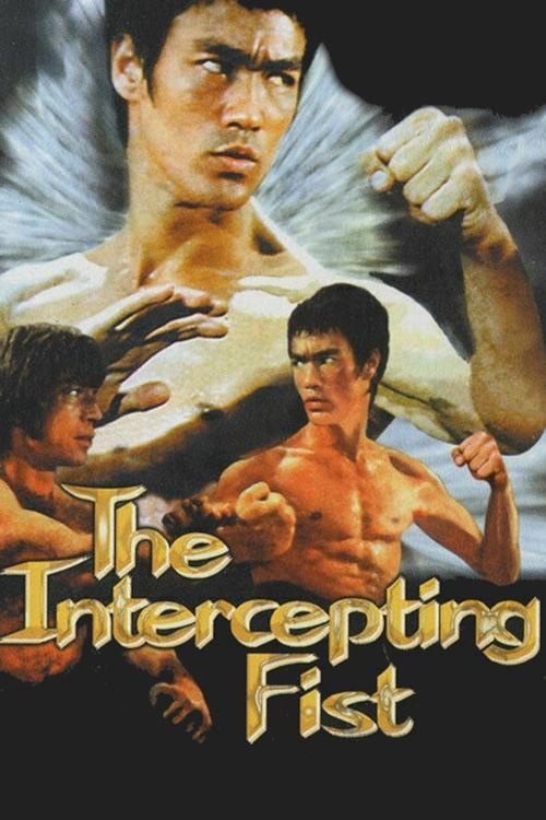 Bruce Lee: The Intercepting Fist movie poster
