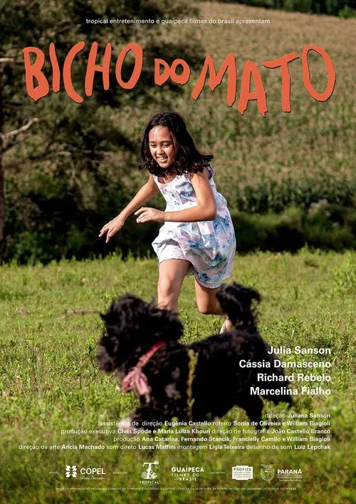 Poster do filme Bicho do Mato