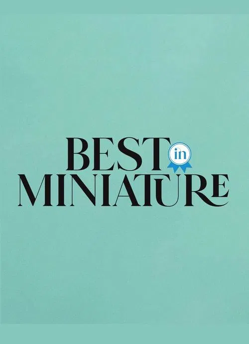 Best In Miniature tv show poster