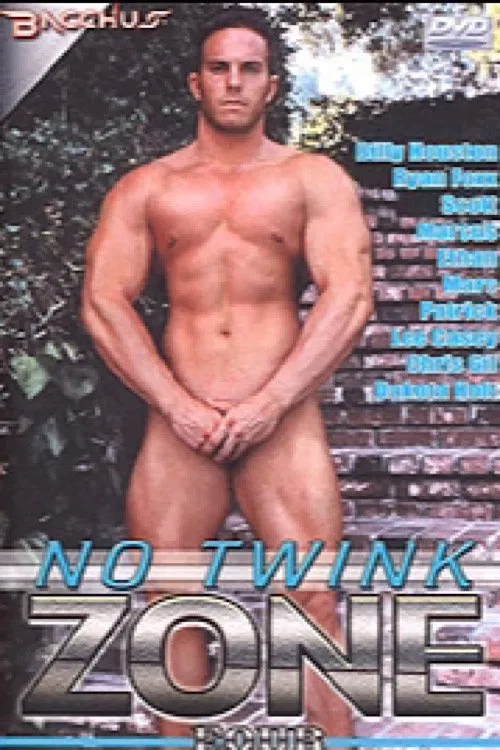 No Twink Zone 4 movie poster