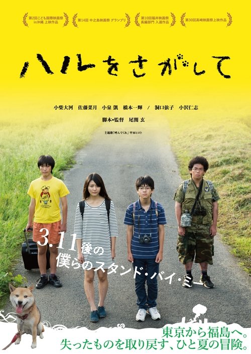 Looking for Haru movie poster