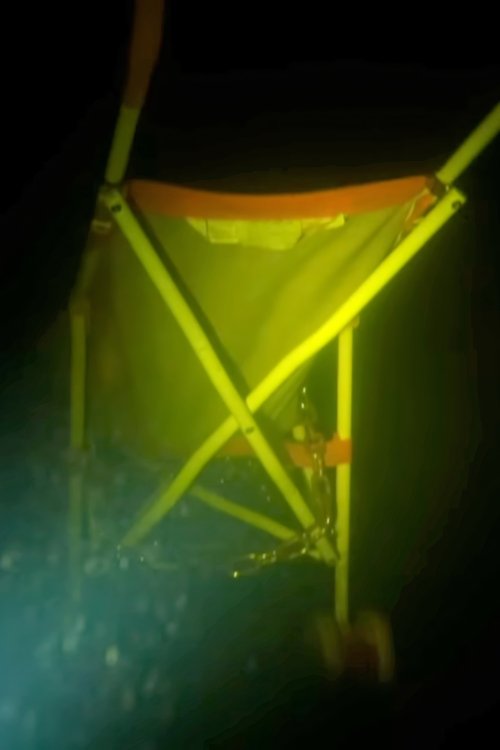 One Last Dive movie poster