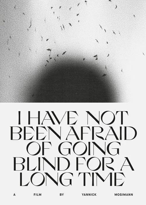 I HAVE NOT BEEN AFRAID OF GOING BLIND FOR A LONG TIME movie poster