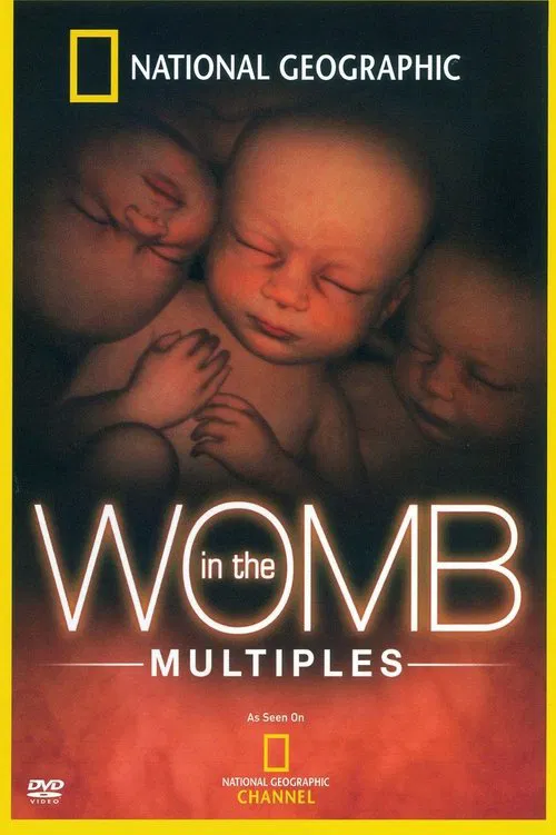 In the Womb: Multiples movie poster