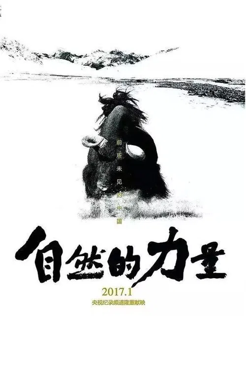 自然的力量 tv show poster