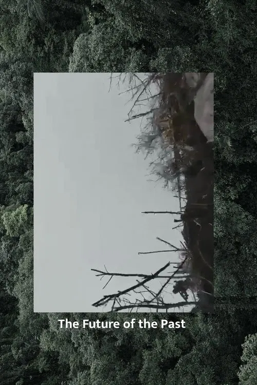 The Future of the Past movie poster